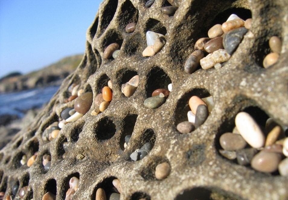 Tafoni - A rock, Amazing, Geology, Nature, Longpost, Trypophobia