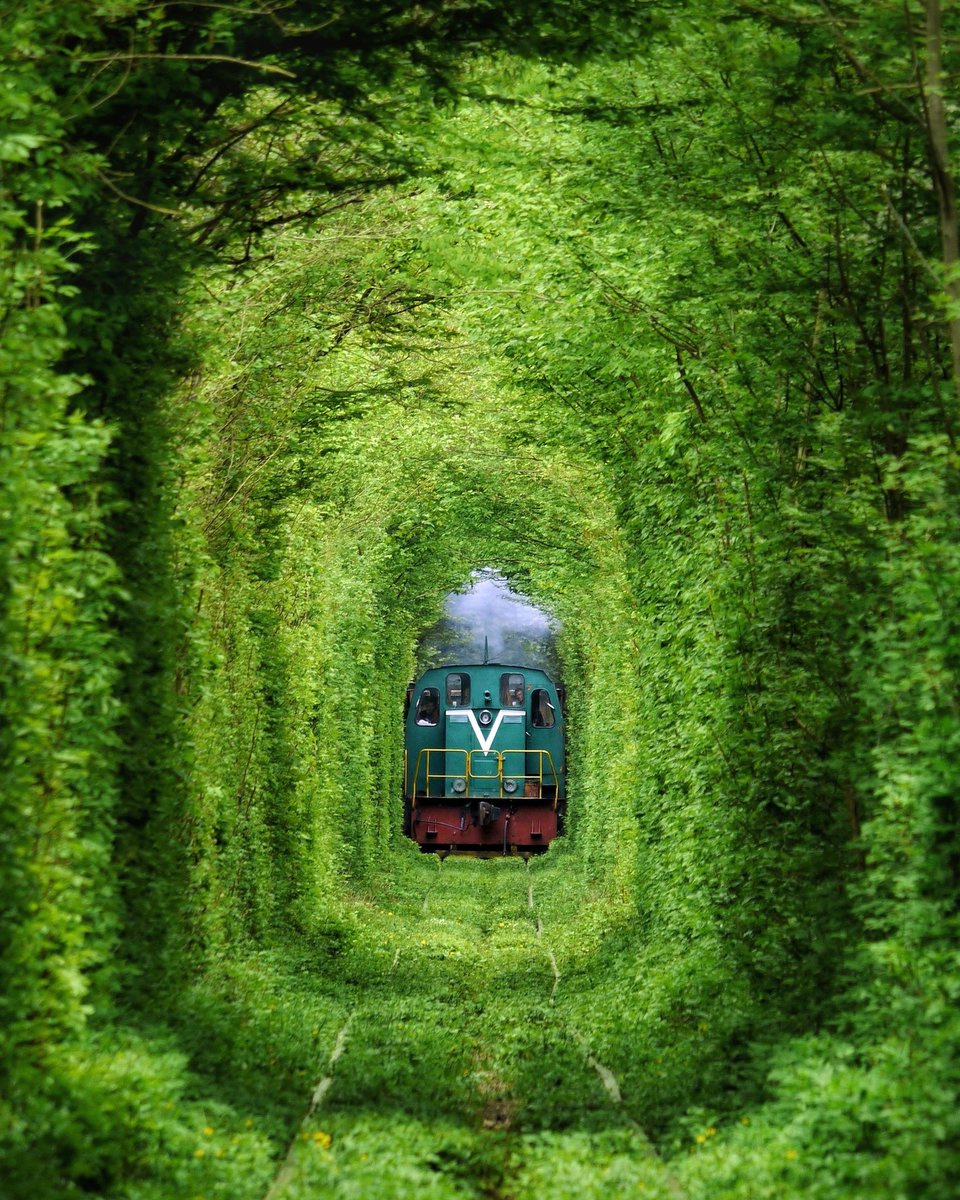 green tunnel - A train, beauty