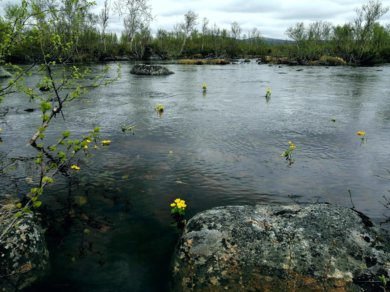 Murmansk region - My, The photo, Murmansk, Nature, Longpost, Beginning photographer