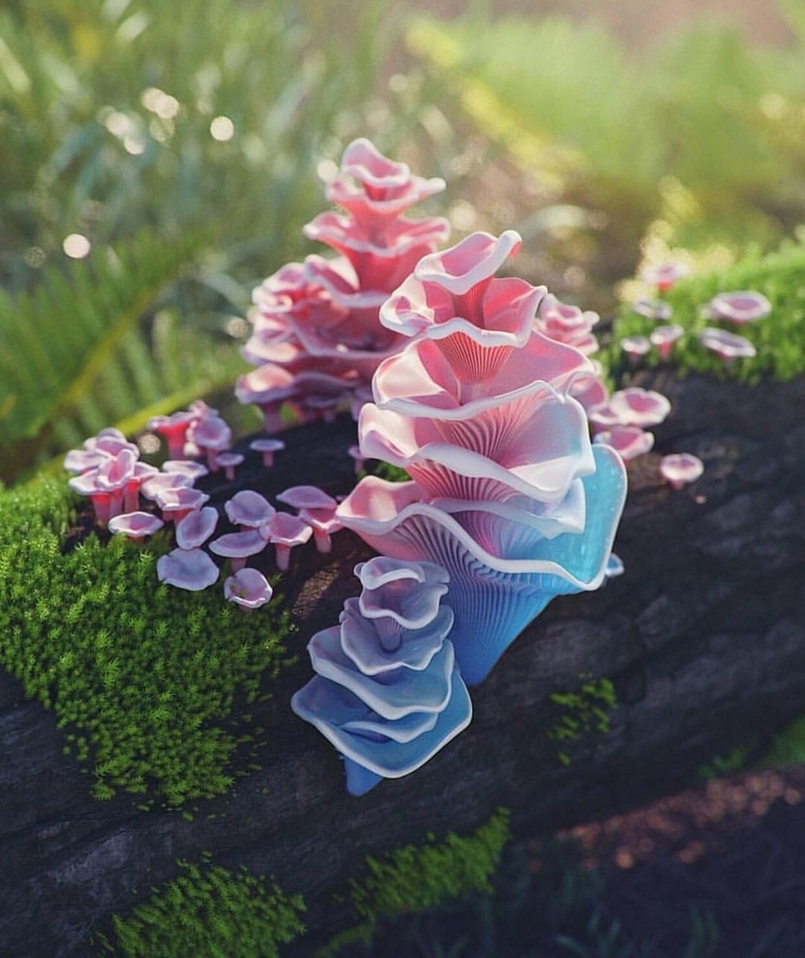 Mushrooms can be pretty too - Mushrooms, beauty, Computer graphics, Render