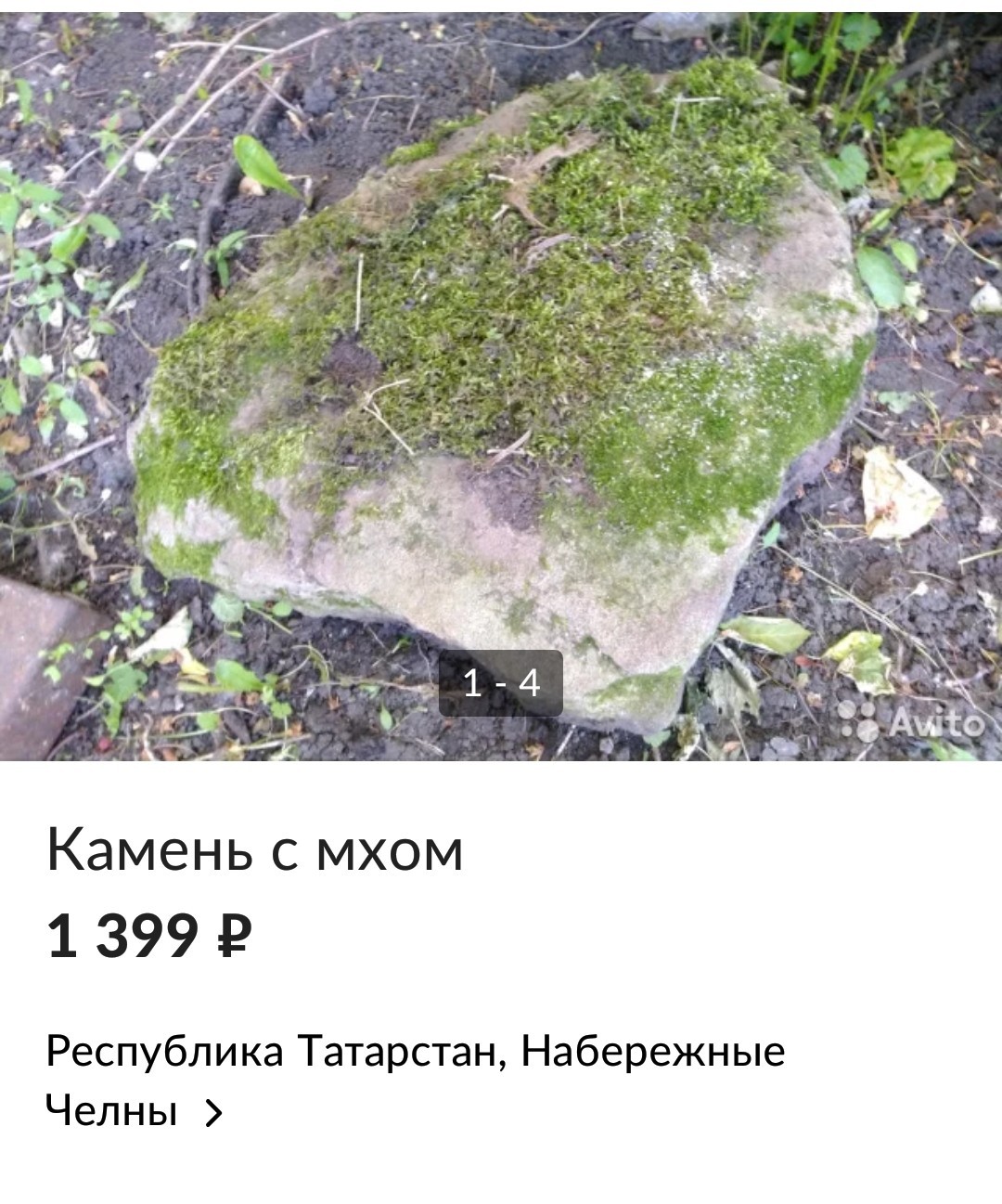 Камень с мхом | Пикабу