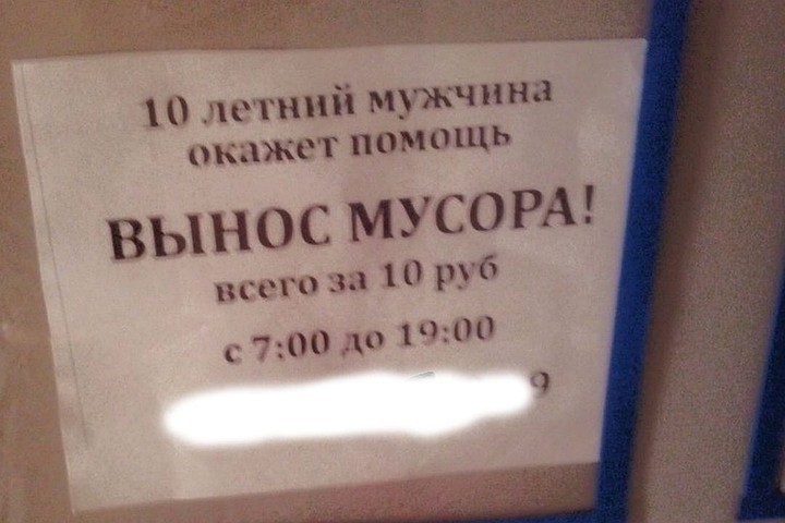 “A 10-year-old man will help”: a student came up with an unusual income for the summer - Good boy, Small business, Garbage removal, Novosibirsk