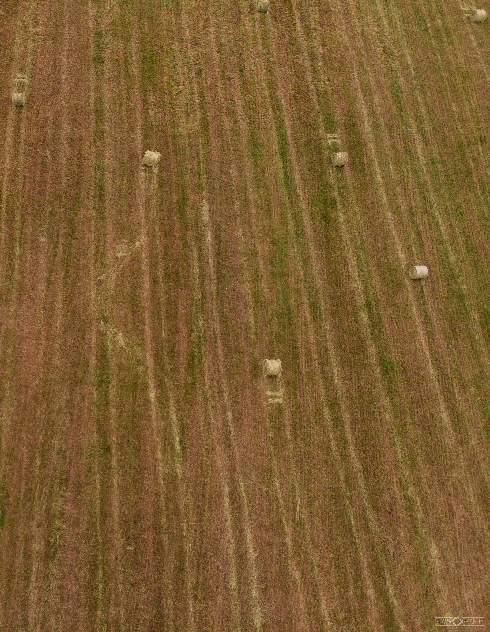 Herbal towel - My, Leningrad region, Field, Grass, Quadcopter, Drone, DJI Mavic Air, Longpost