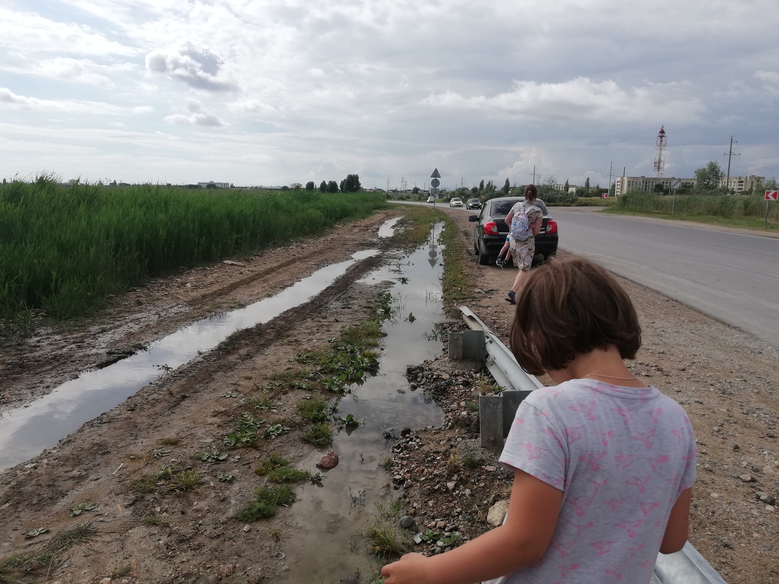 Крым. Евпатория. Лебединое озеро. Халявщики (?). - Моё, Текст, Видео, Картинки, Крым, Лебеди, Евпатория, Отдых, Длиннопост