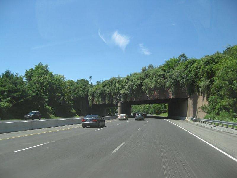 15 bridges that protect wildlife from people and their cars - Bridge, Ecoduct, wildlife, Safety, The photo, Road, Longpost