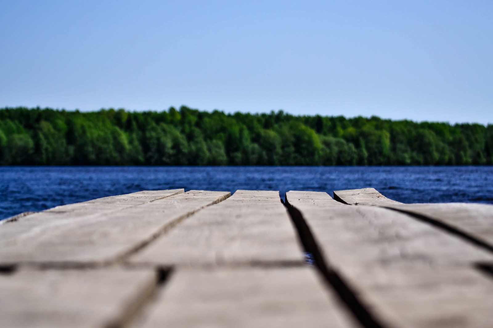 Gangway - My, River, The photo, Nikon, Beginning photographer