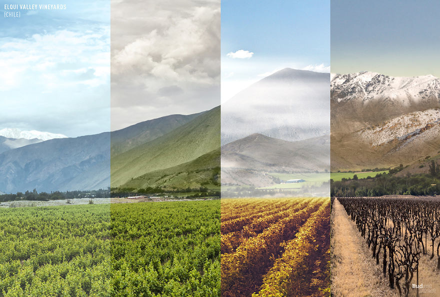 Four seasons in one photo. - The photo, Travels, Longpost, Seasons