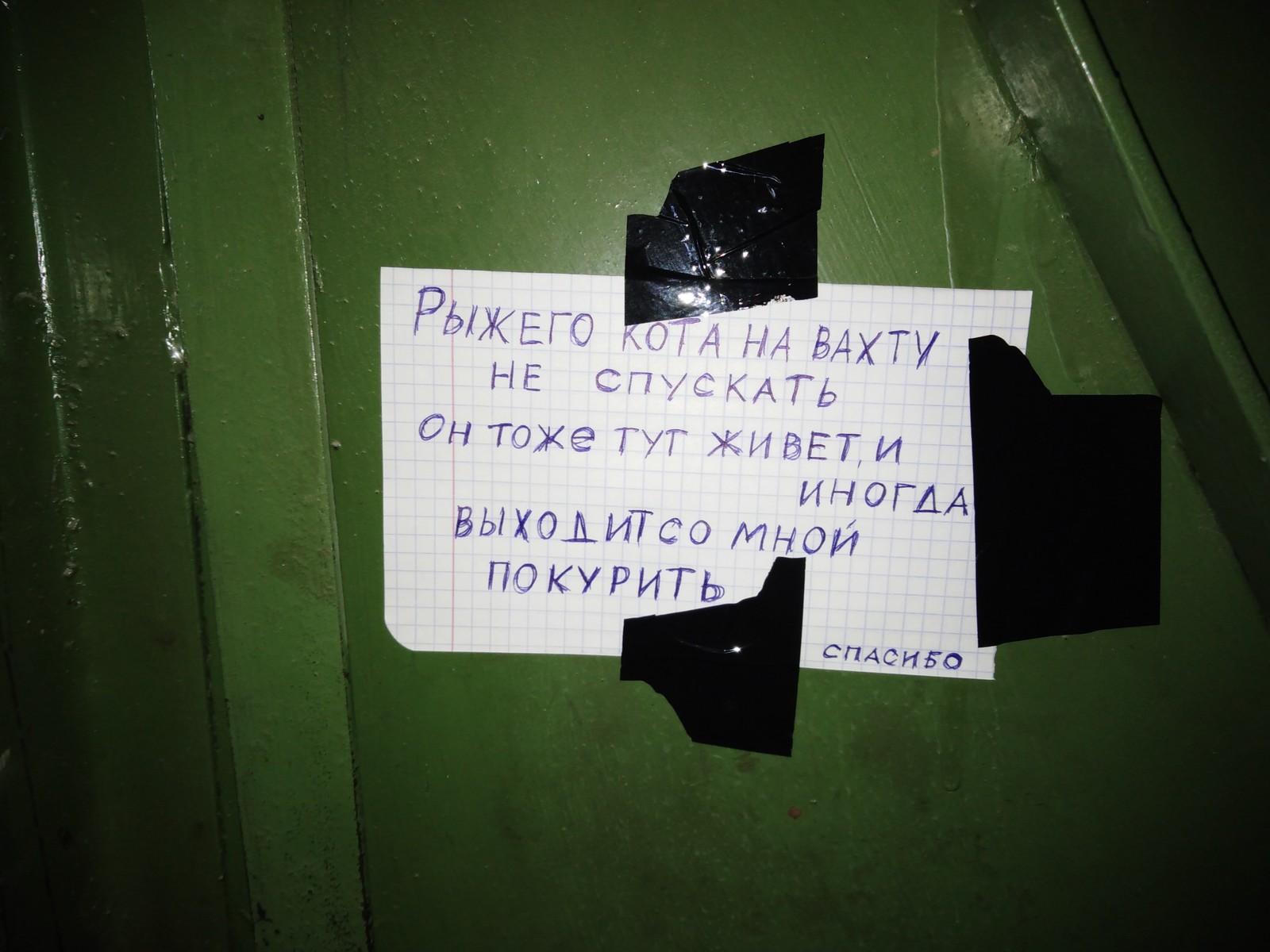 Объявление в одном из подъездов | Пикабу