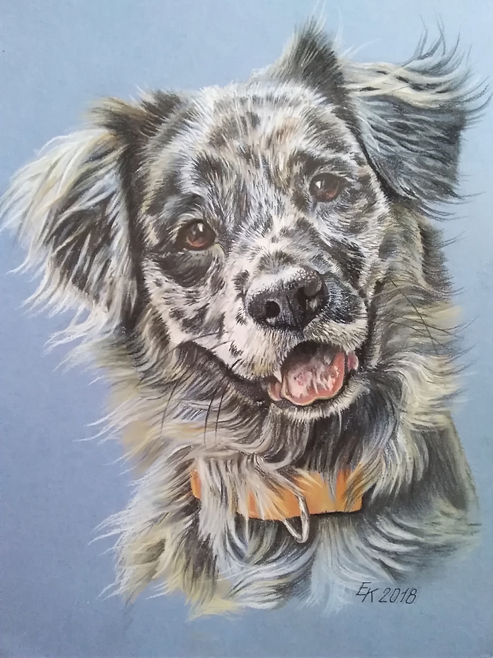 From the archive. The portraits are made with colored pencils and pastels. - My, Portrait, Drawing, Dog, Pet, Colour pencils, animal portraits, Longpost, Pets