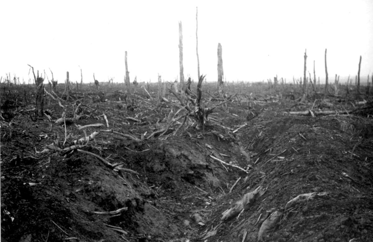 Battle of extermination. Somme 1916. - World War I, , 1916, Longpost