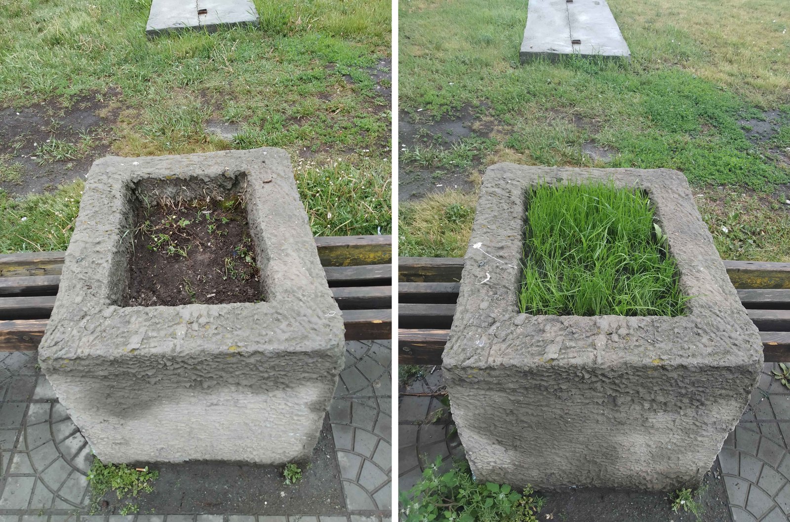 Garbage can be defeated by landscaping. - My, Chistoman, Urbanism, Beautification, Kopeysk, Benches, Flower bed, Grass, Longpost