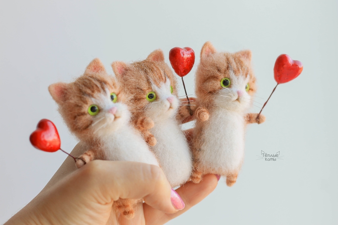 Kitty cats, warm tummies - My, Wallow, Dry felting, cat, Needlework without process, Creation, Art, Handmade, Toys, Longpost