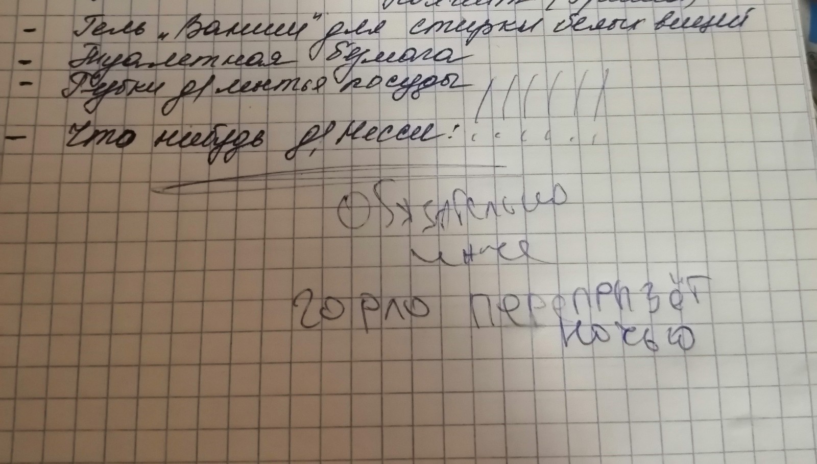 Опасное соседство. - Моё, Котята, Дом, Сельское хозяйство, Забота, Покупка, Реальная история из жизни