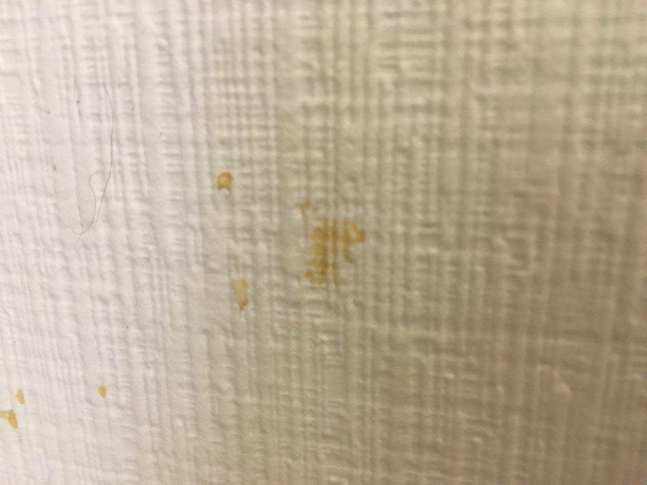 Strange plaque on the wall, help identify - My, No rating, Dirt, Everyday life, Longpost