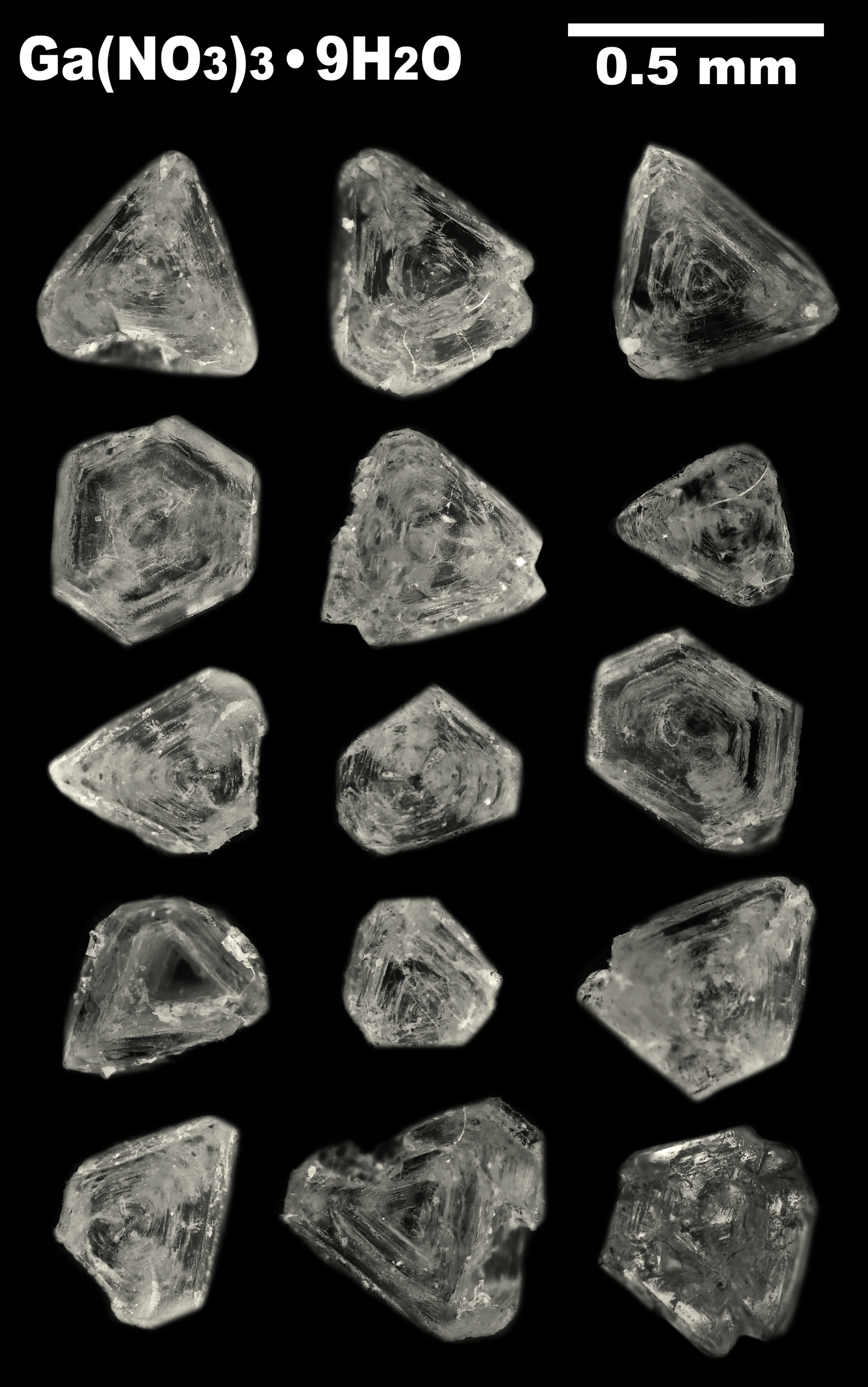 Gallium nitrate crystals - My, Chemistry, Crystals, The photo, Microscope, Gallium