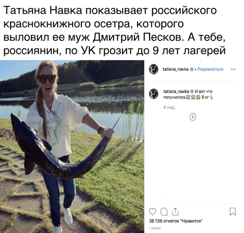 Life is not smooth - Fishing, Dmitry Peskov, Criminal Code, Tatyana Navka, Fake