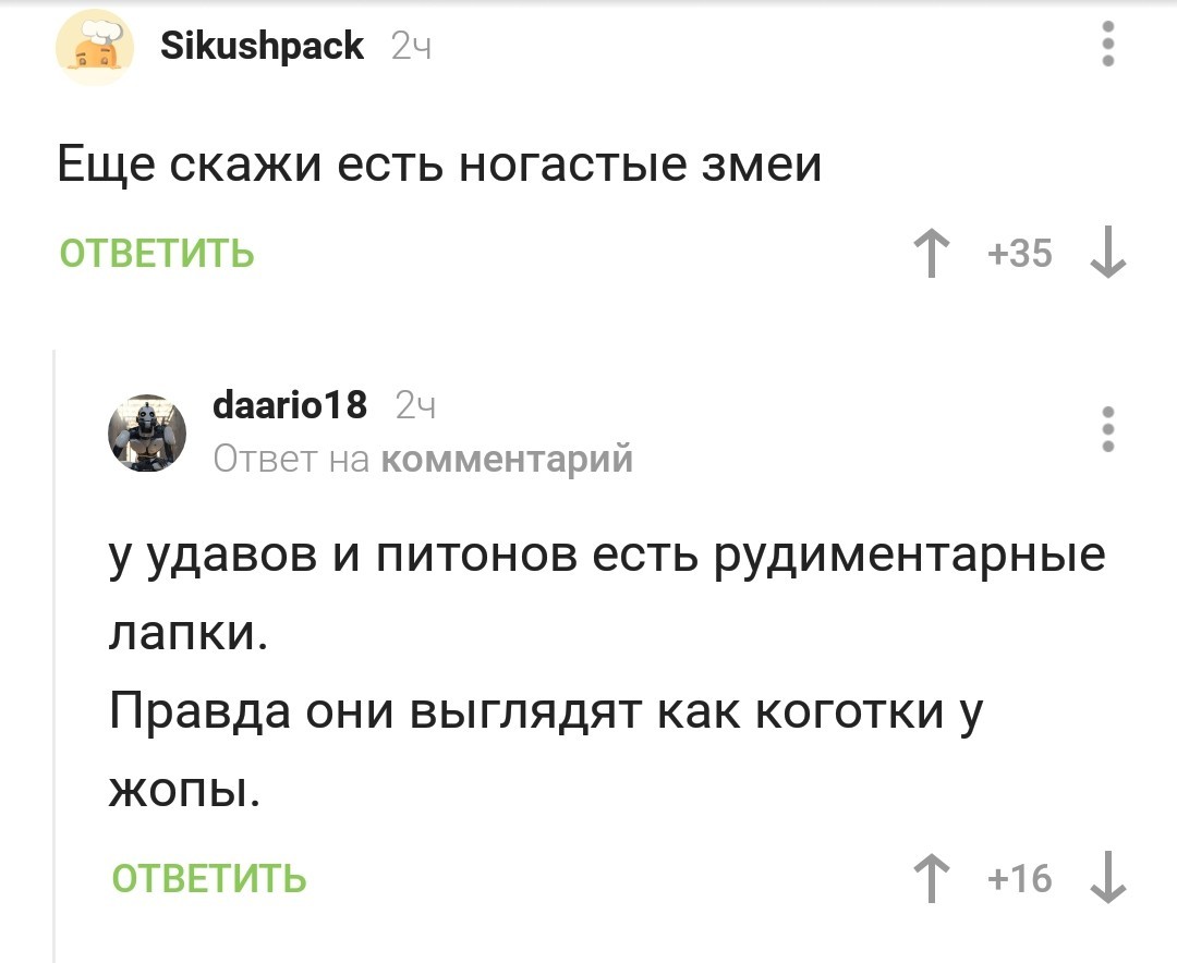 Змеи - Скриншот, Комментарии на Пикабу, Комментарии, Интересное, Познавательно