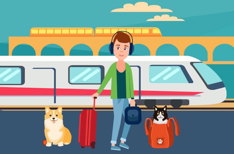 How to travel with pets? - Travels, Tourism, Animals, Pet, Airplane, A train, Russia, Europe, Longpost, Pets