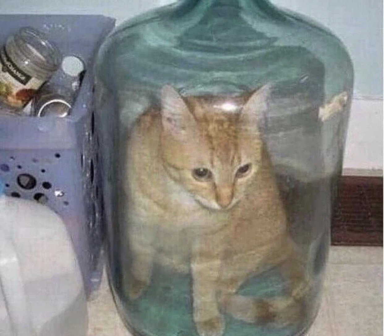 Just one question, how? - cat, Teleport, Jar