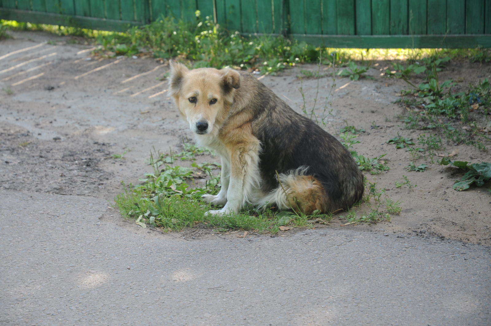 The last village of the city of Moscow in the Moscow Ring Road - My, Village, Terehovo, Town, Moscow, Demolition, Urbanization, Longpost