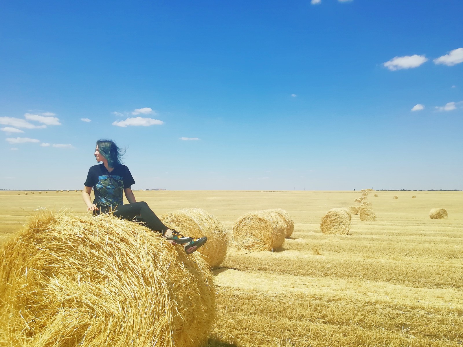 Somewhere between Mines and Novocherkassk - My, Nature, South, Rostov region, Field, Russia