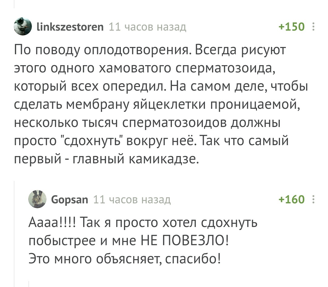 Белый камикадзе. - Комментарии, Камикадзе, Юмор, Комментарии на Пикабу, Скриншот