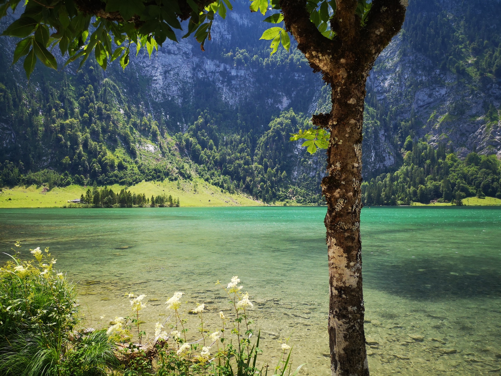 Lake Konigssee, Alps, Bavaria - My, bavarian alps, Lake, Nature, Longpost, Alps