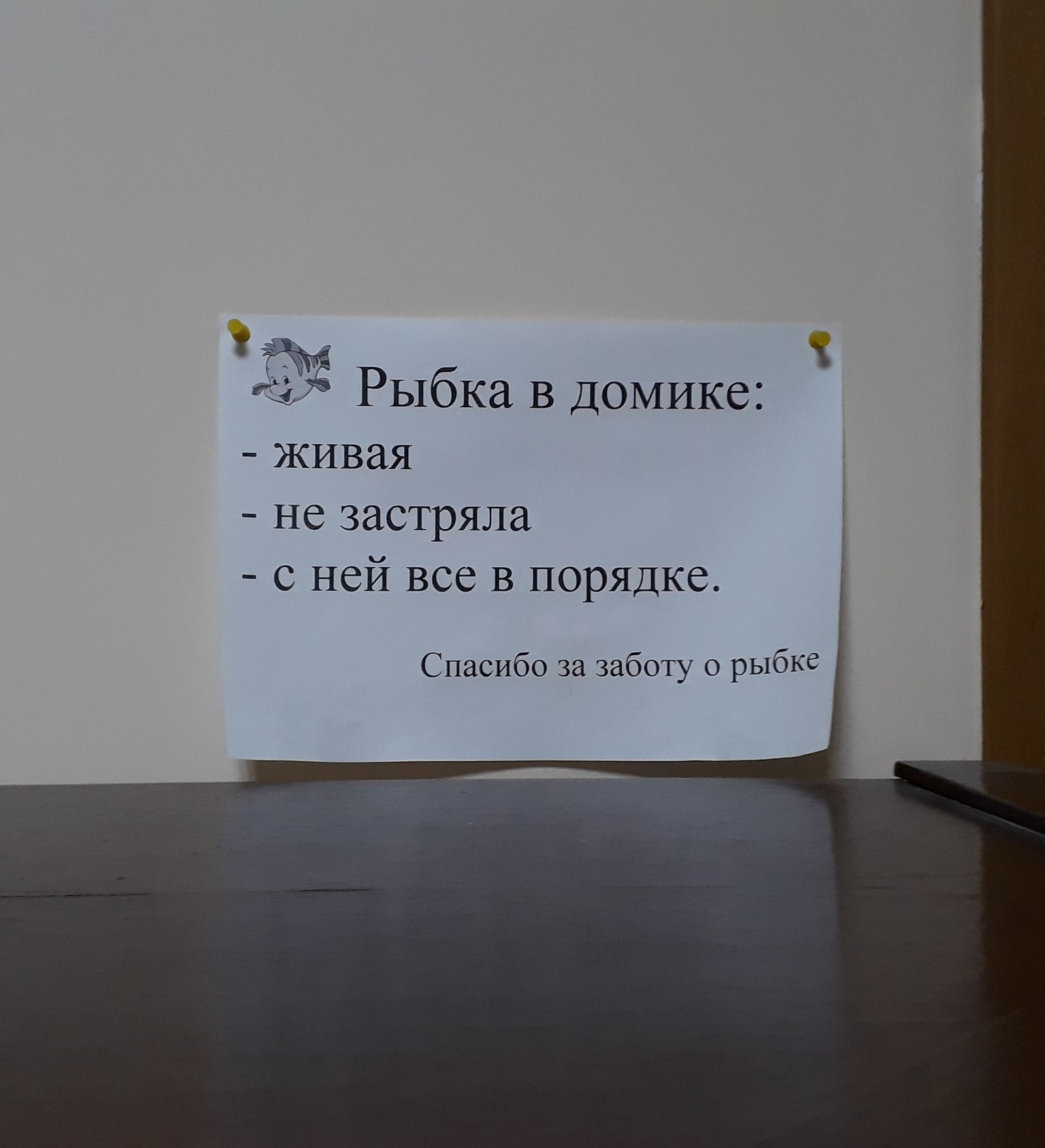 Thanks for taking care of me - My, Announcement, Odessa, A fish, Aquarium, This is the norm, In the house, Positive, Longpost, I'm in the house