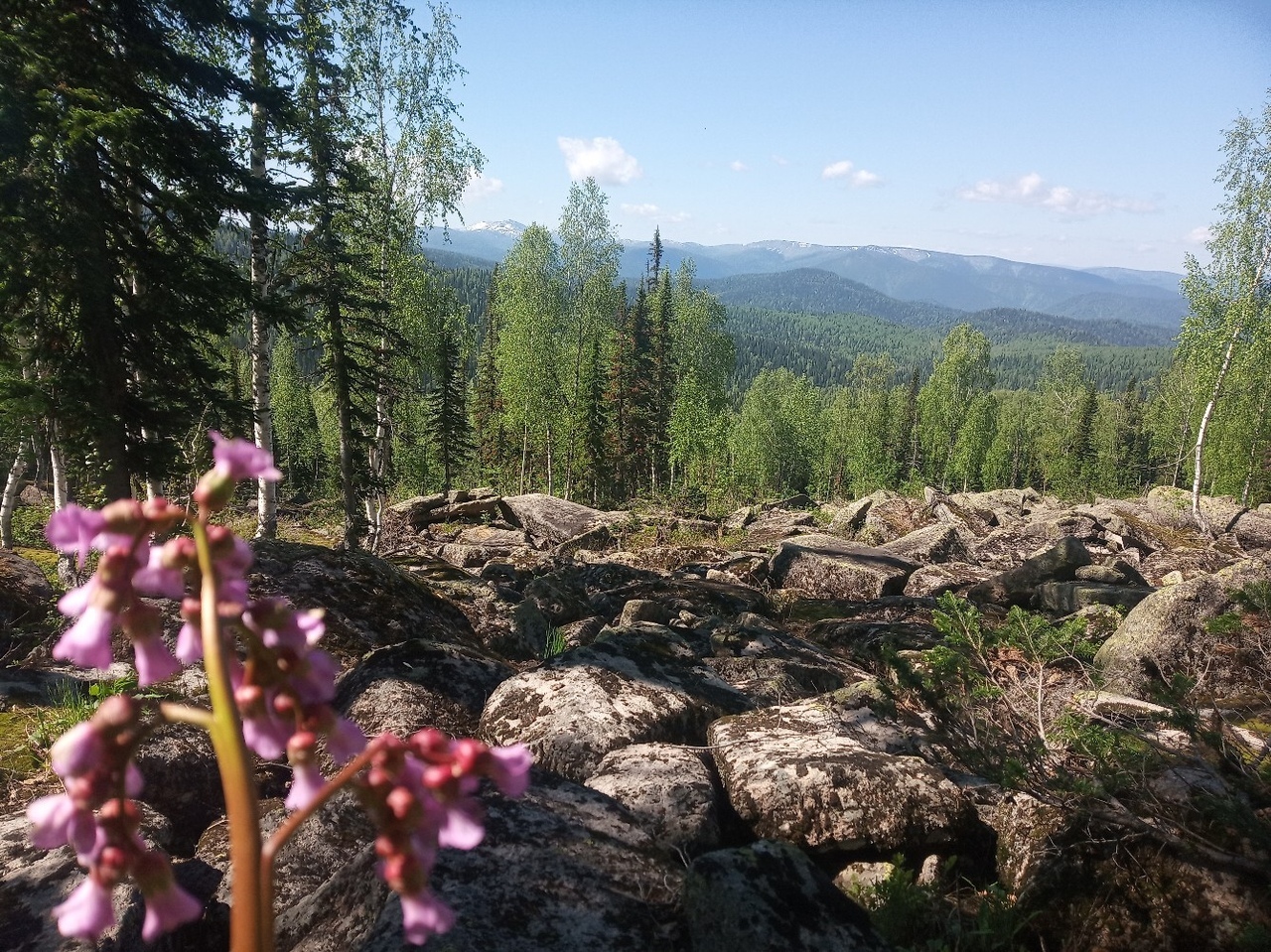 Кузнецкий Алатау - Моё, Кузнецкий алатау, Туризм, Кемеровская область - Кузбасс, Сибирь, Тайга, Поход, Длиннопост, Путешествия, Одиночный поход