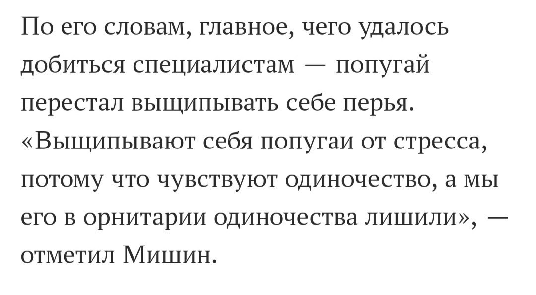 Можно и мне таблеточку?! - Попугай, Стресс, Антидепрессант, Длиннопост