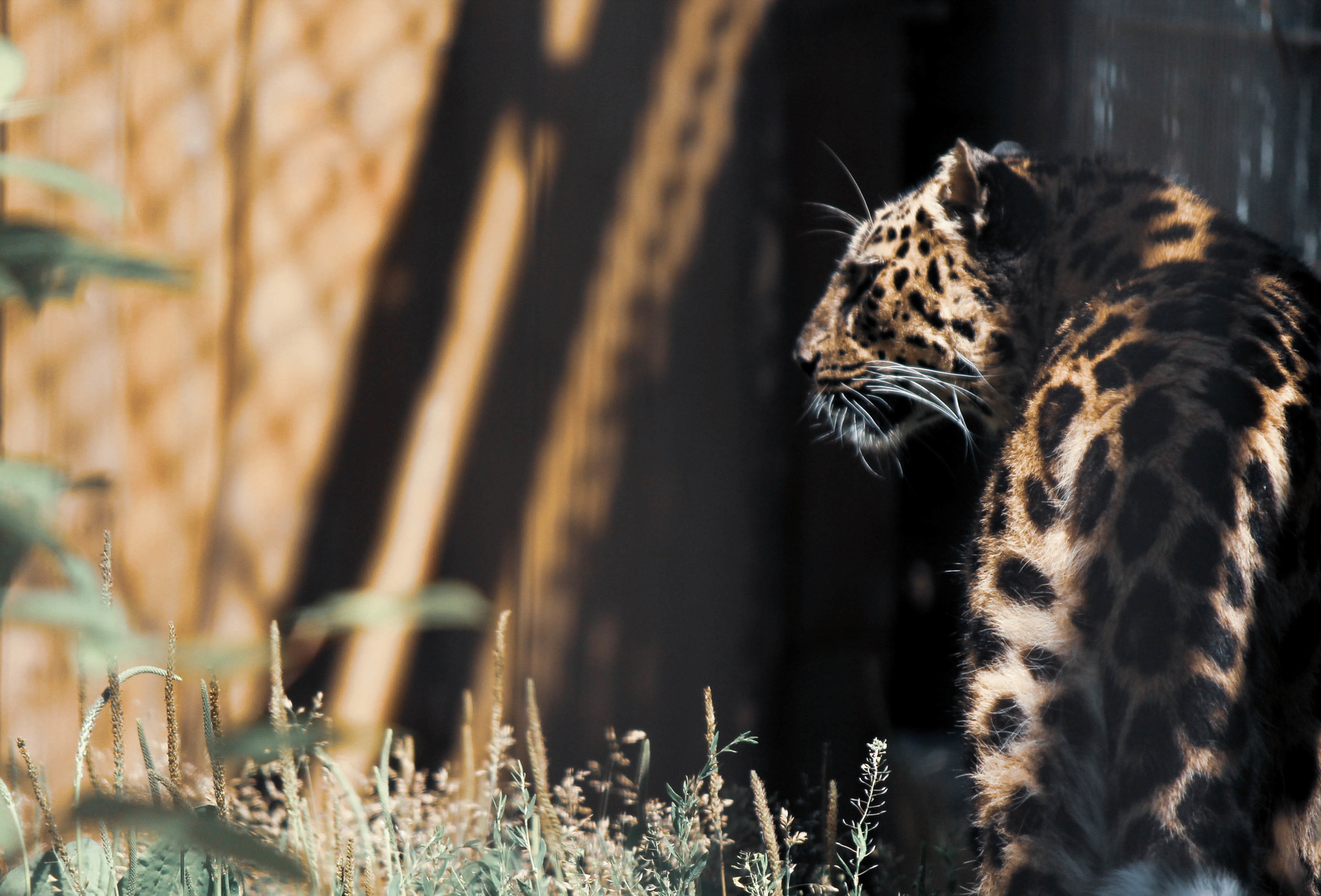 Tallinn Zoo - My, Zoo, , The photo, Longpost