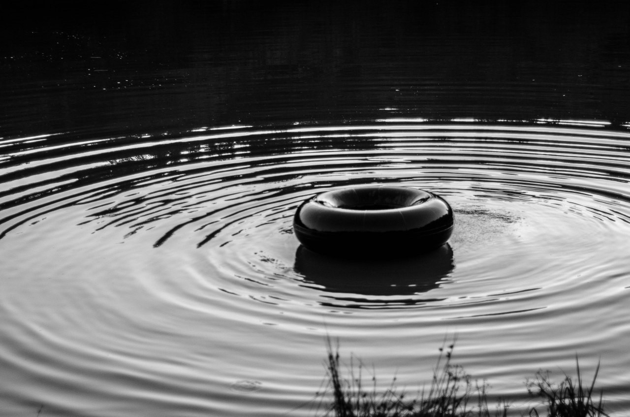 Lake, trailer, cat. - My, Heading, Black and white photo, cat, Lake, Beginning photographer