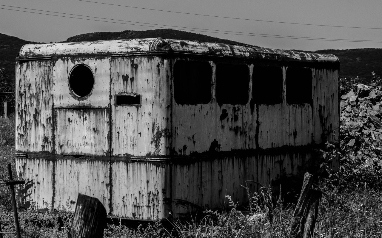 Lake, trailer, cat. - My, Heading, Black and white photo, cat, Lake, Beginning photographer