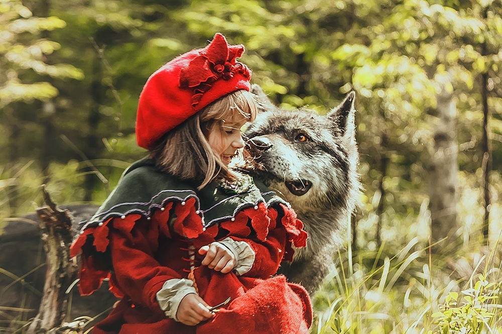 New colors in an old story - Little Red Riding Hood, PHOTOSESSION, Cosplay, A selection, Wolfhund, Dogs and people, Longpost