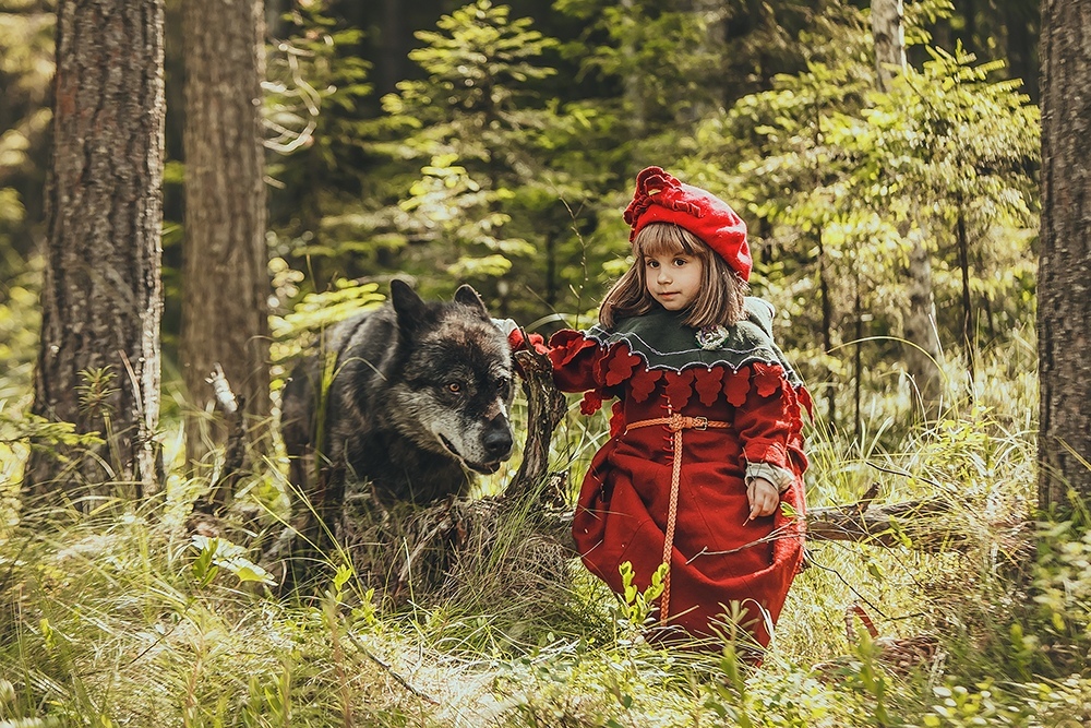 Новые краски в старой истории - Красная шапочка, Фотосессия, Косплей, Подборка, Вольфхунд, Собаки и люди, Длиннопост