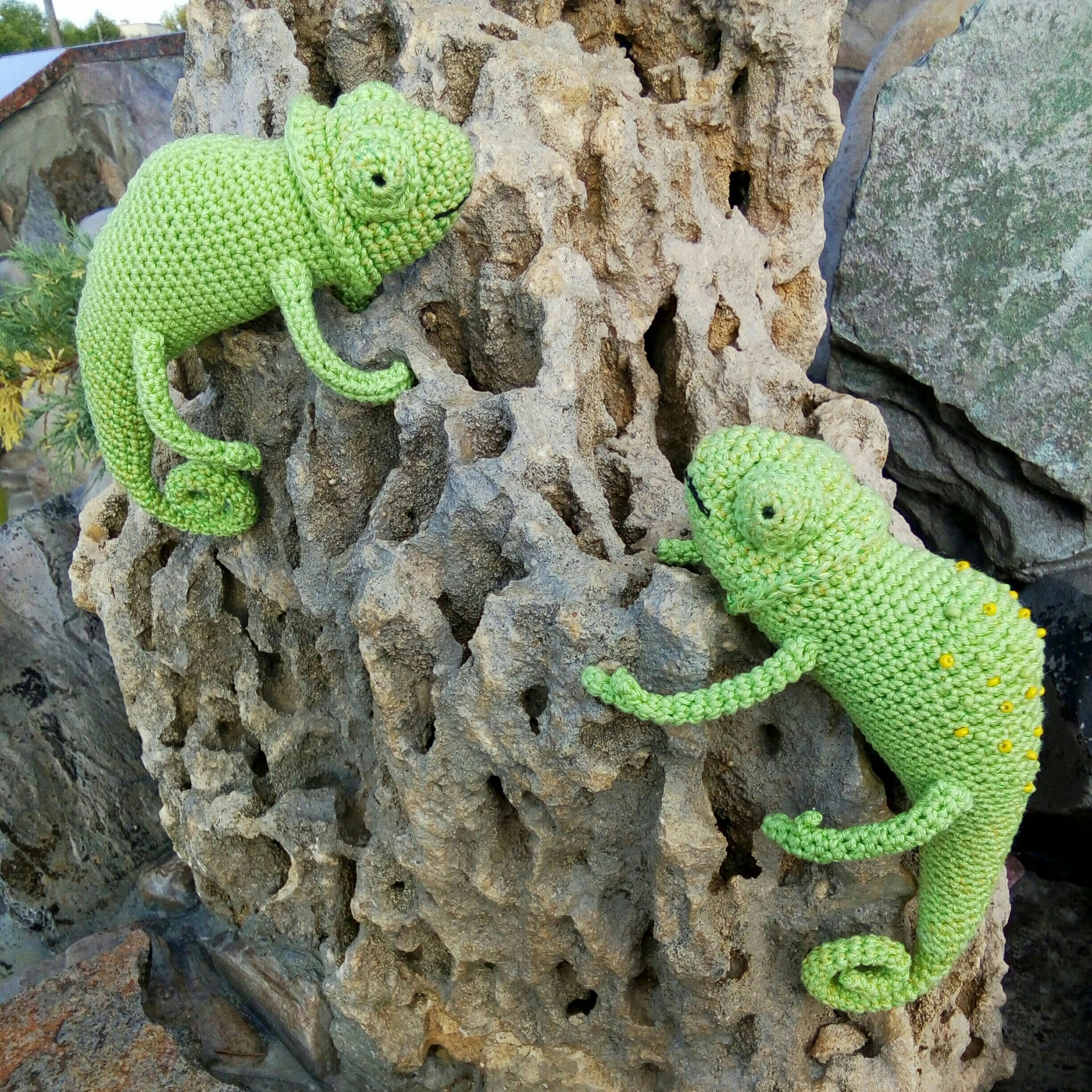 Chameleons - My, Knitting, Amigurumi, Needlework without process, Chameleon