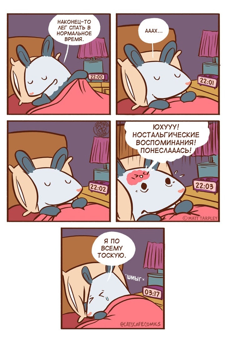 Time to sleep. - Comics, Translation, Cats Cafe, Matt tarpley, Translated by myself