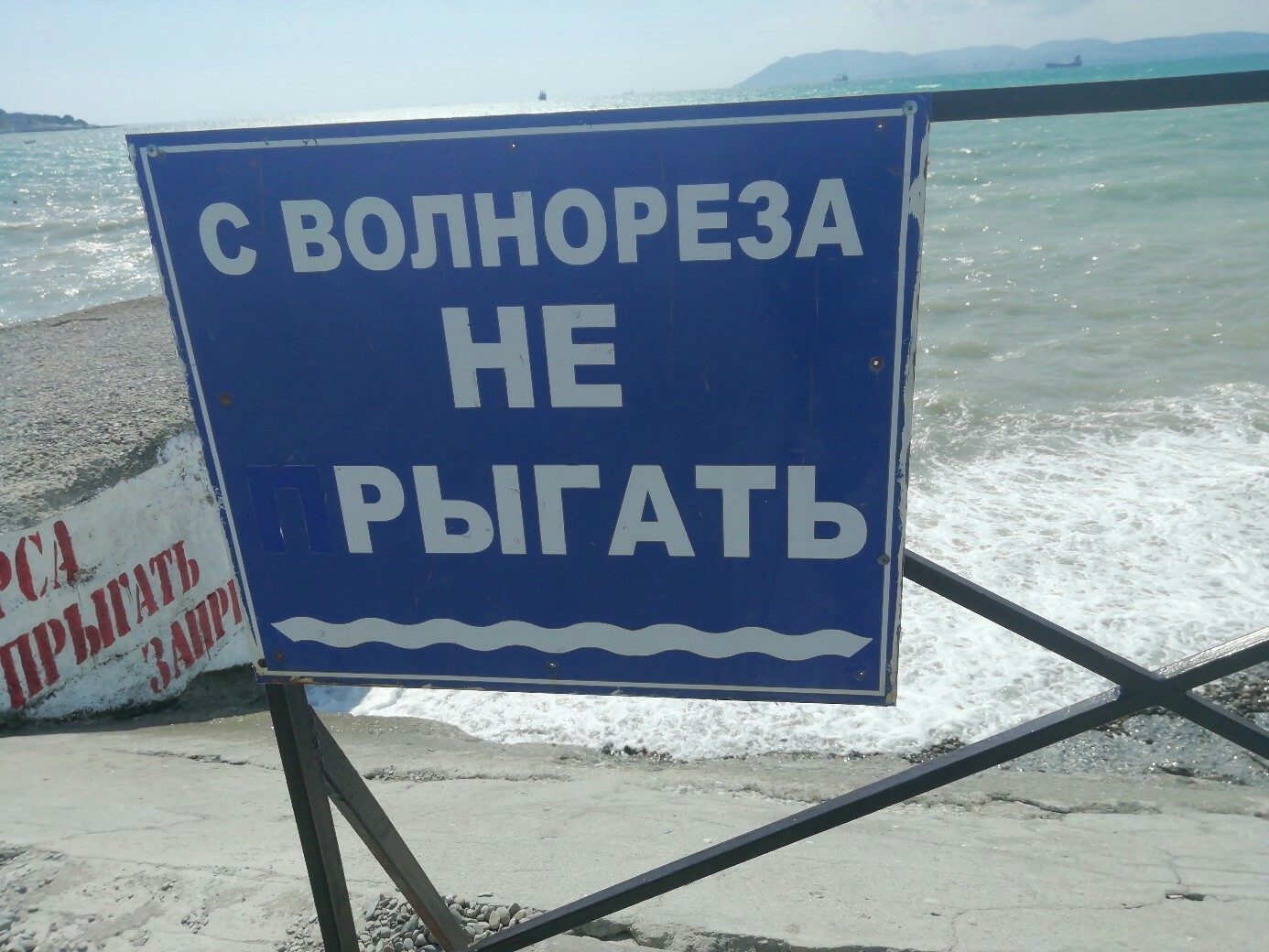 Comedians arrived on the Black Sea coast. - Humor, Black Sea, Relaxation