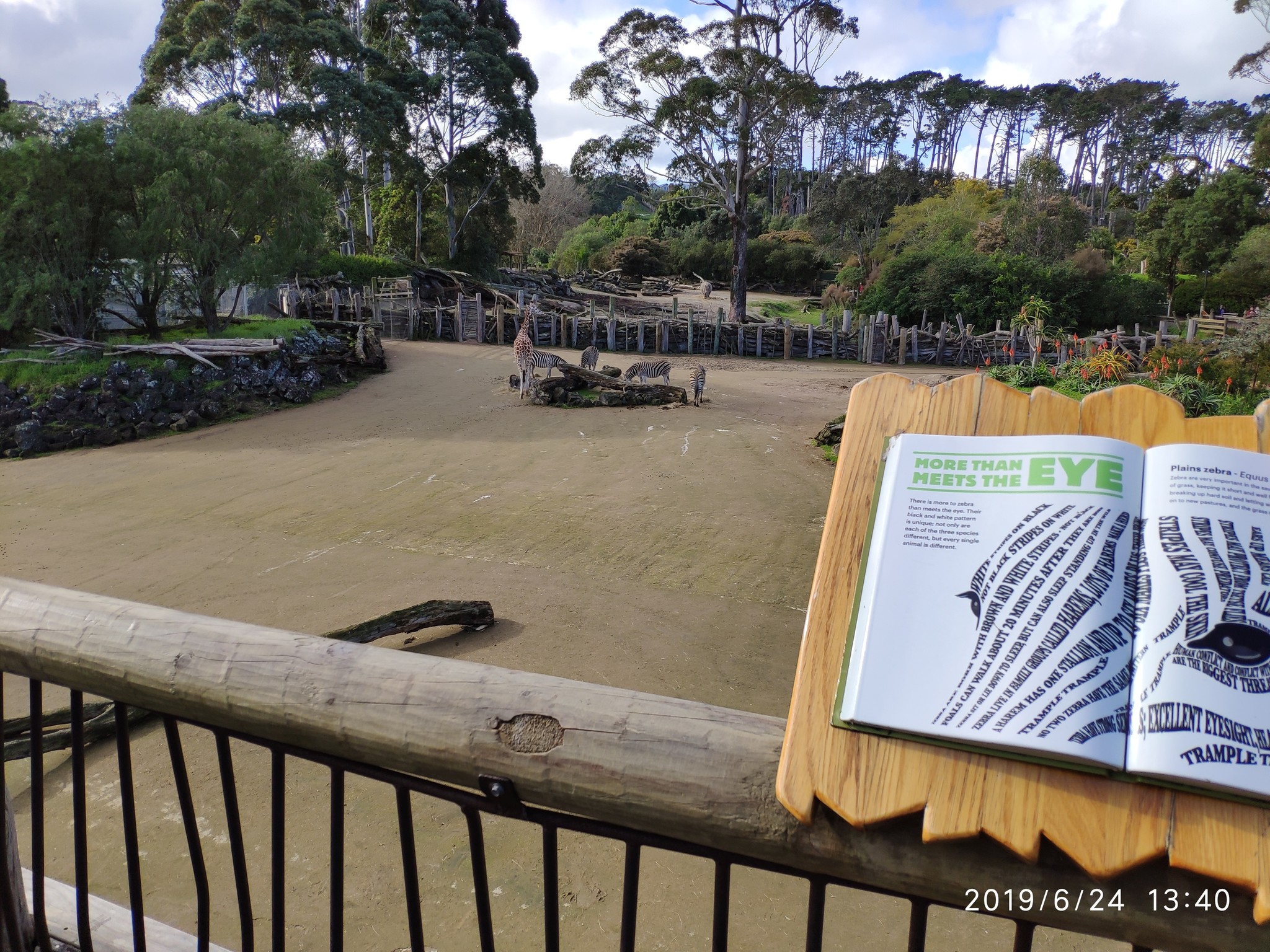 Auckland Zoo. - My, New Zealand, Zoo, Nature, Walk, Longpost