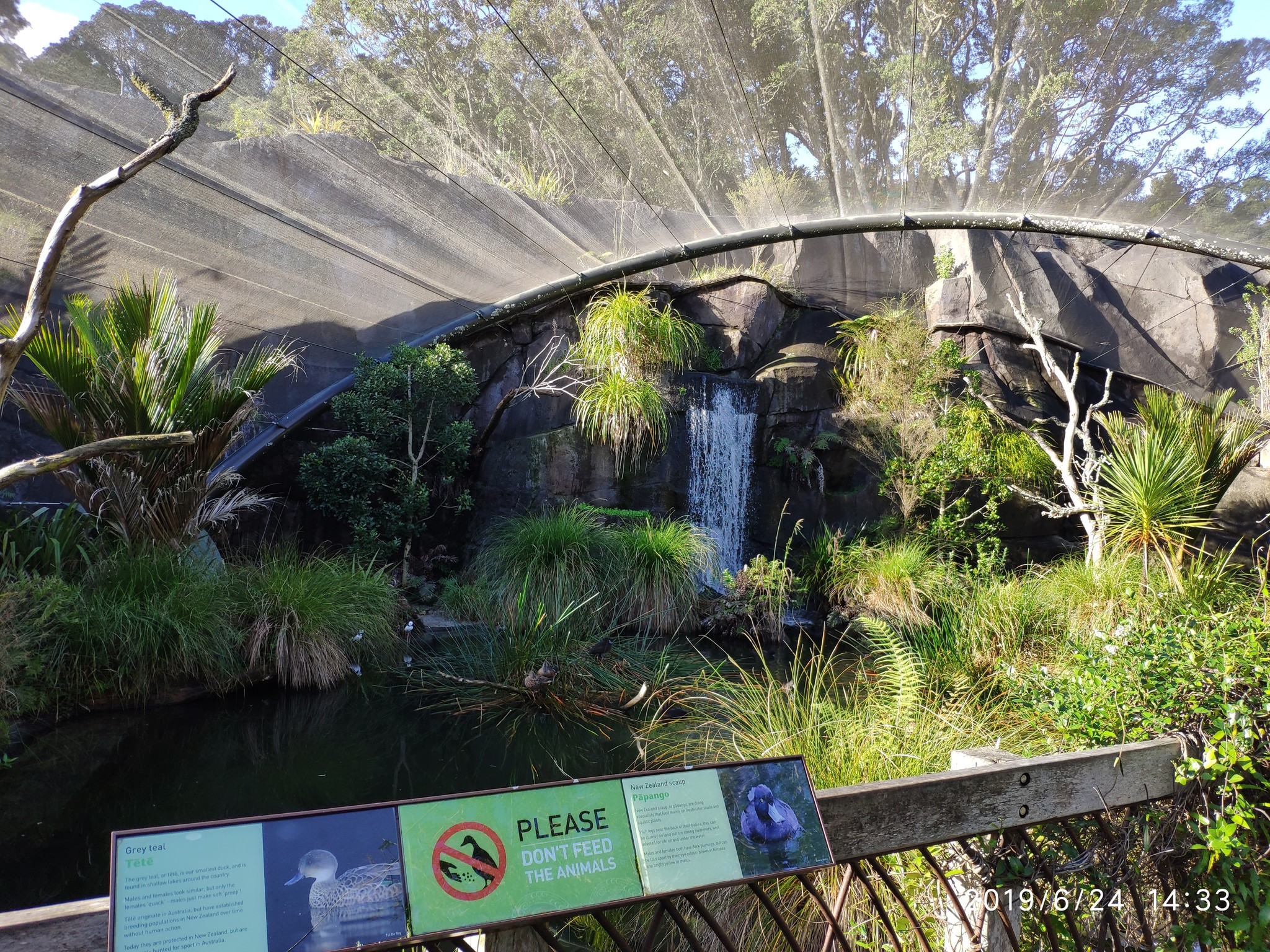 Auckland Zoo. - My, New Zealand, Zoo, Nature, Walk, Longpost