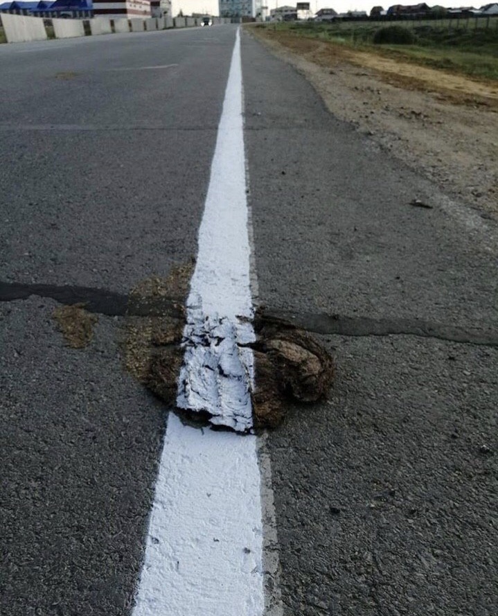 And so it will do - Russian roads, Yakutsk, The airport