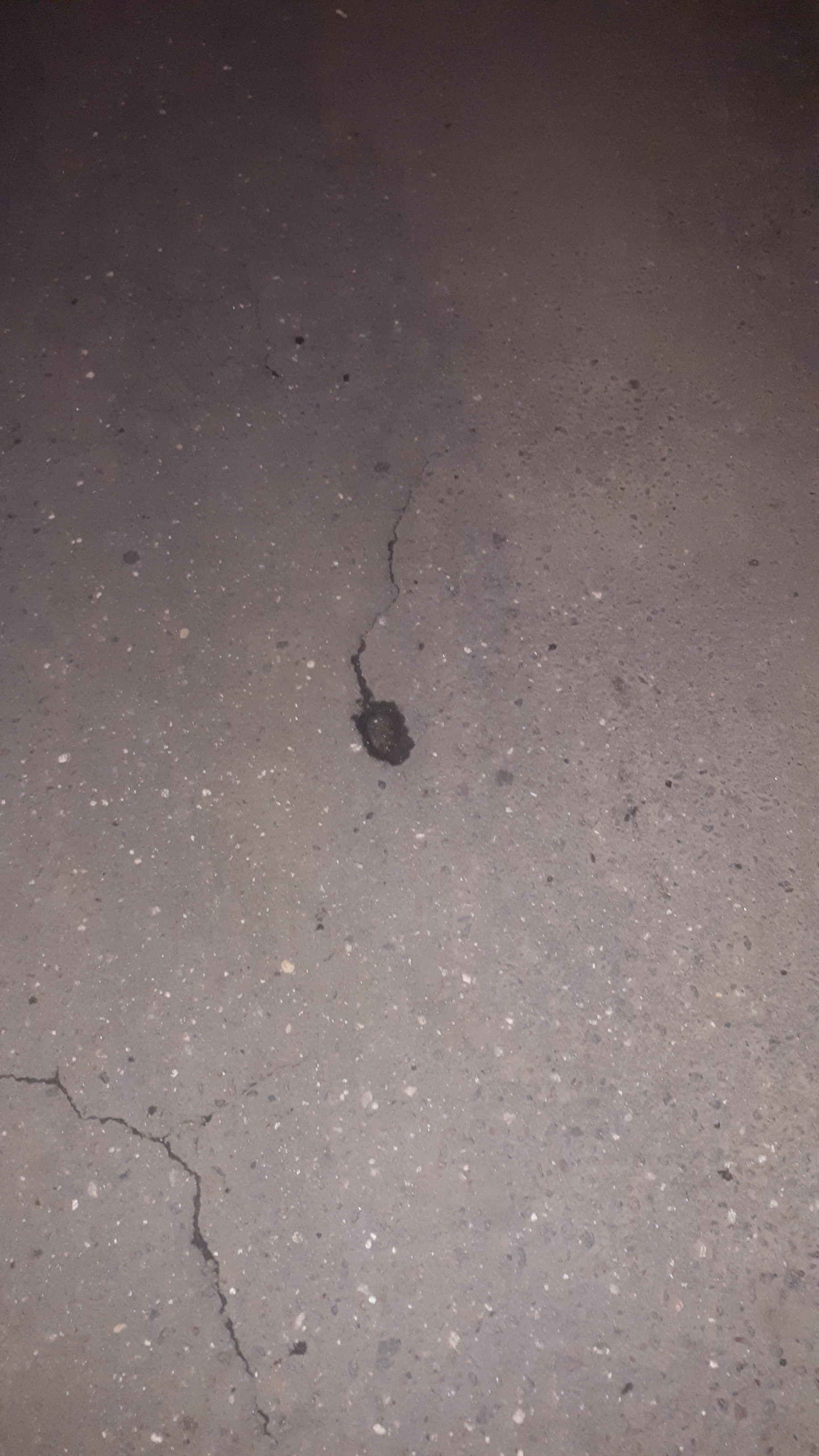 Interesting choice, almost stepped on - My, , Asphalt, Longpost, Potholes