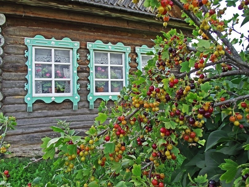 Holidays in the village - Longpost, Village, Nature, Summer, Beautiful girl