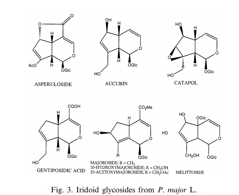 Folk medicine from the point of view of chemistry. - My, ethnoscience, Chemistry, Longpost