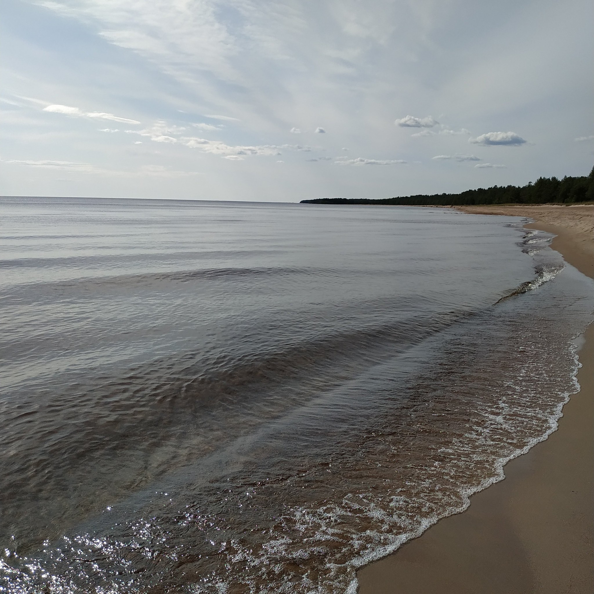 Ладожские пейзажи - Моё, Ладога, Карелия, Озеро, Природа, Красота природы, Лето, Пляж, Сосна, Длиннопост