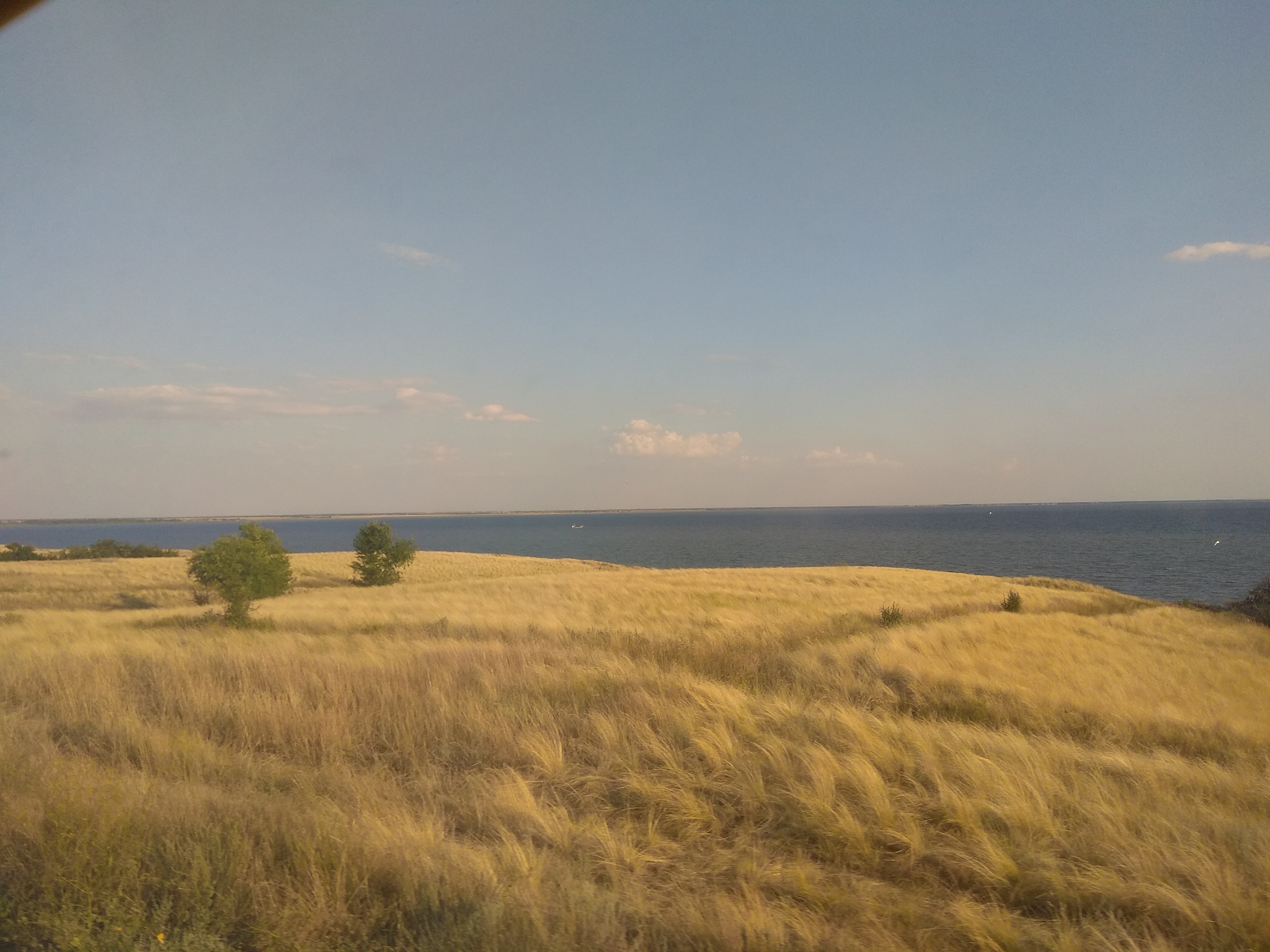 Serenity - My, The photo, Summer, Landscape, Serenity, Open spaces, A train, Longpost