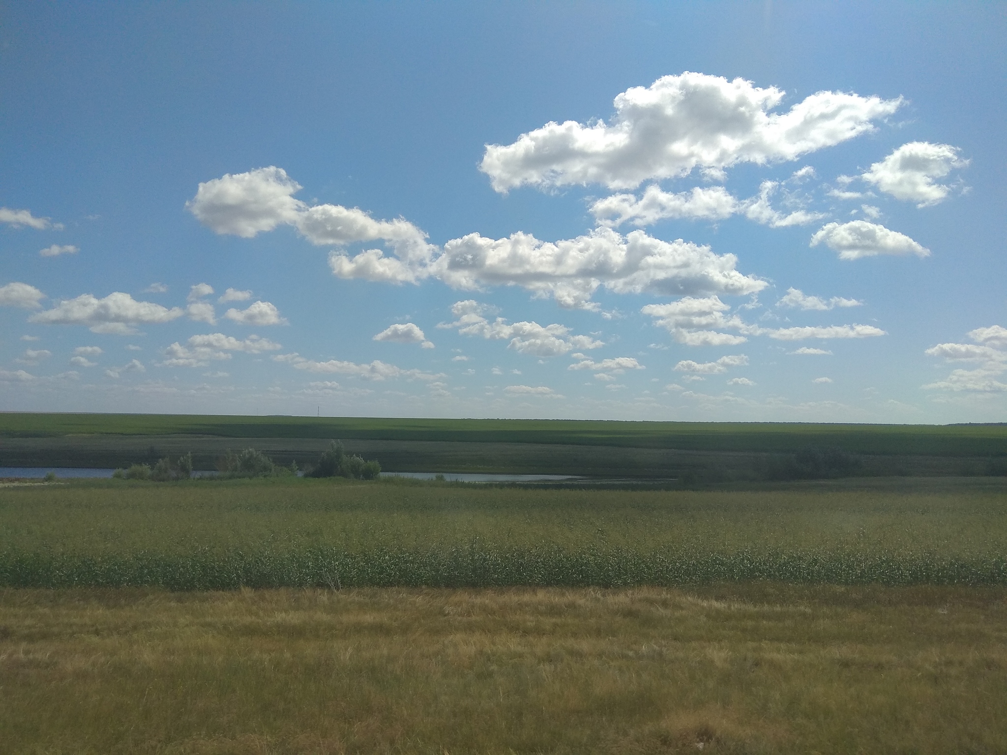 Serenity - My, The photo, Summer, Landscape, Serenity, Open spaces, A train, Longpost