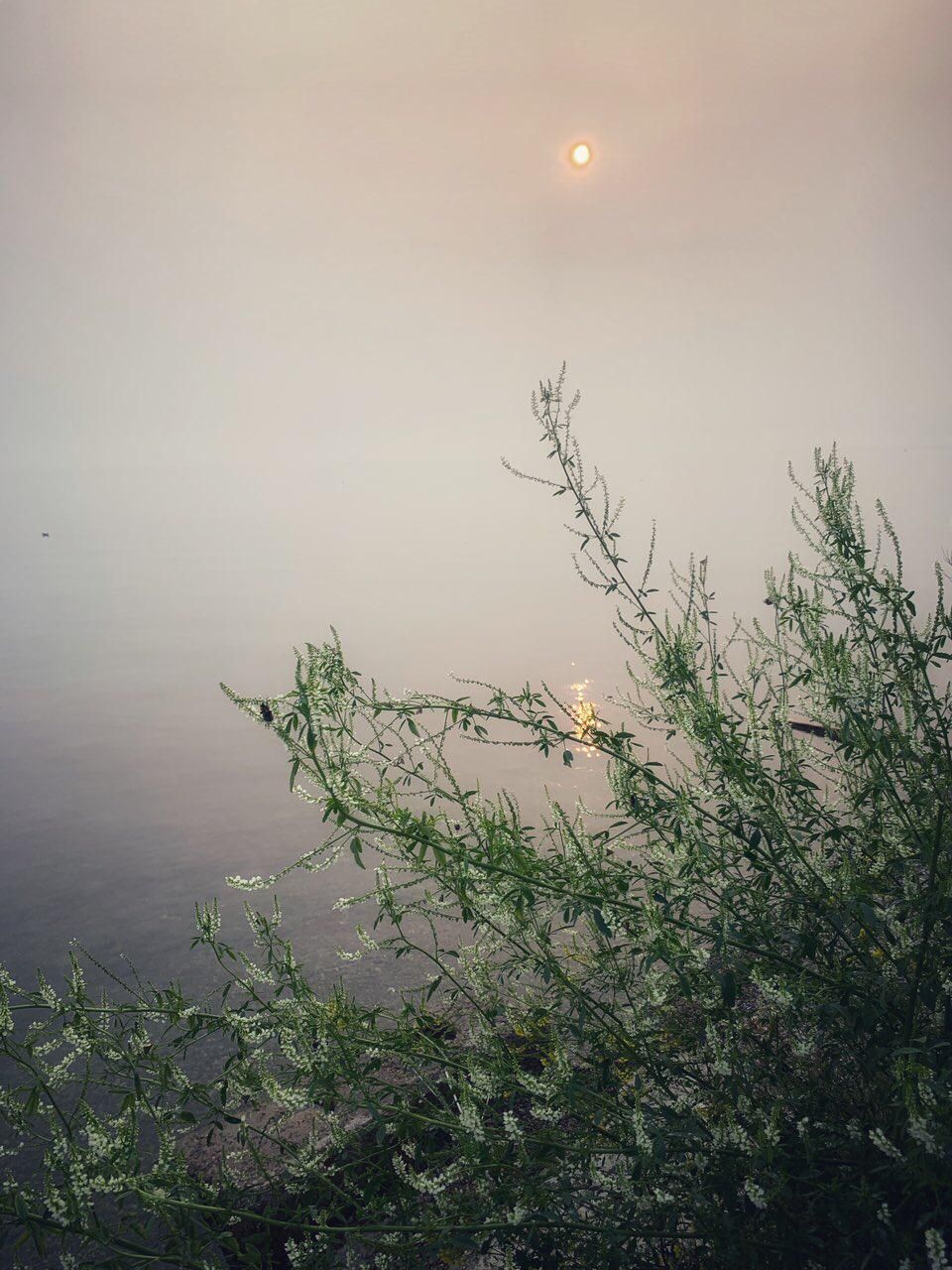 Listvyanka, 30 June. - My, Baikal, Forest fires, Siberia, Longpost