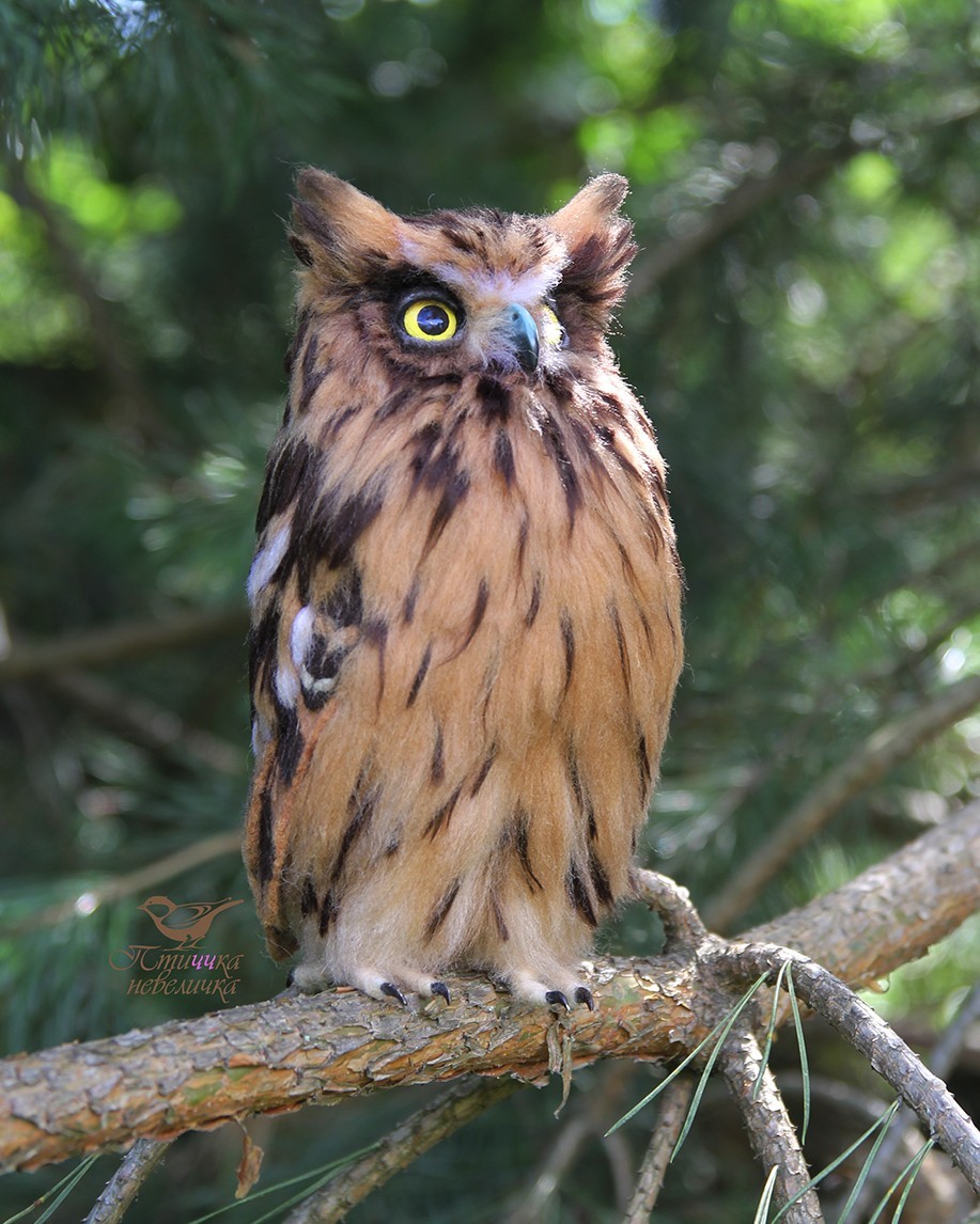 Fish owl. From wool. Wallow. Handmade. - My, Needlework without process, Dry felting, Creation, Needlework, Toys, Handmade, Birds, Longpost