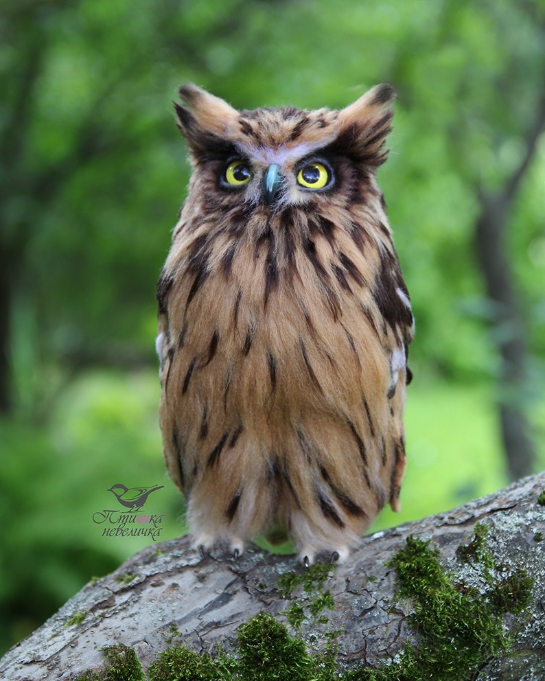 Fish owl. From wool. Wallow. Handmade. - My, Needlework without process, Dry felting, Creation, Needlework, Toys, Handmade, Birds, Longpost